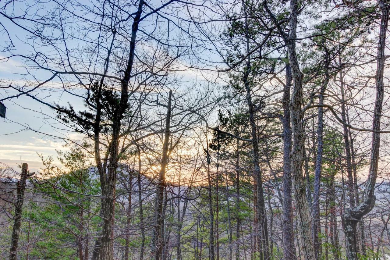 Misty View Cabin Hatchertown Exterior photo