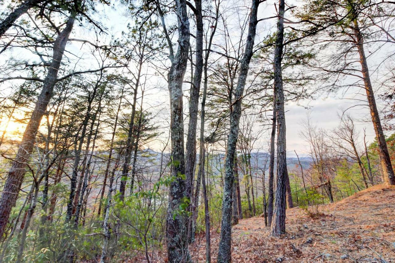 Misty View Cabin Hatchertown Exterior photo